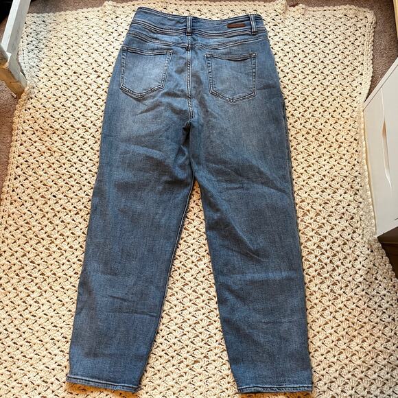 Pilcro by Anthropologie Pleated Straight Leg Jeans Size 29 - Picture 5 of 8